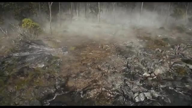 Playback test clip